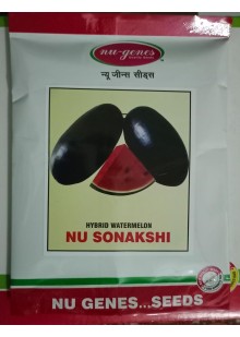 Hy Nu Sonakshi Watermelon